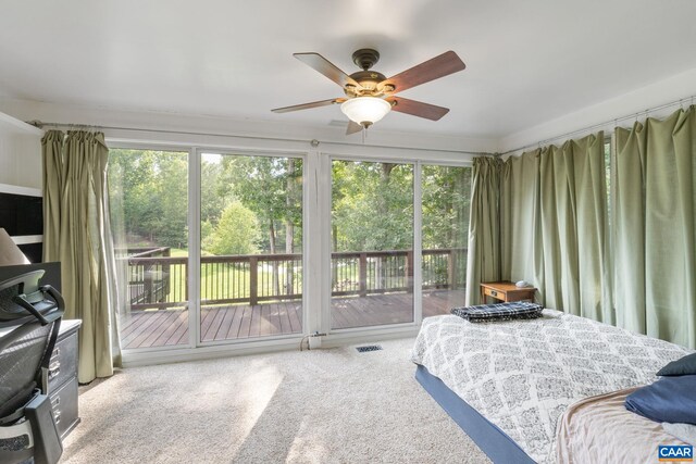 21 Acre Ln, Palmyra, VA 22963 - photo 43