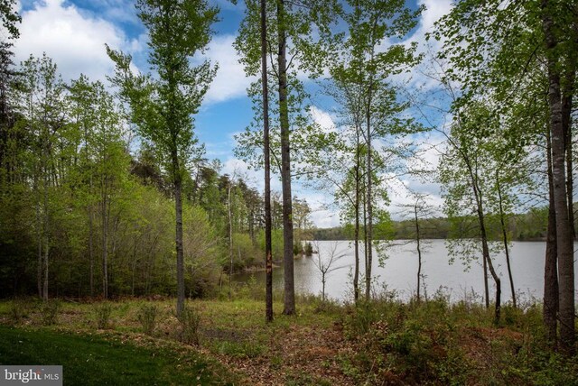 9813 Chessmans Ct, Fredericksburg, VA 22407 - photo 56
