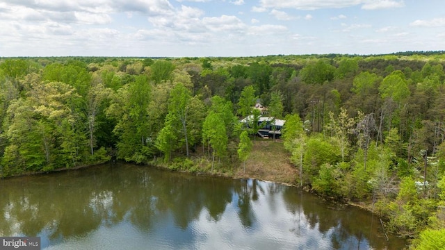 9813 Chessmans Ct, Fredericksburg, VA 22407 - photo 65
