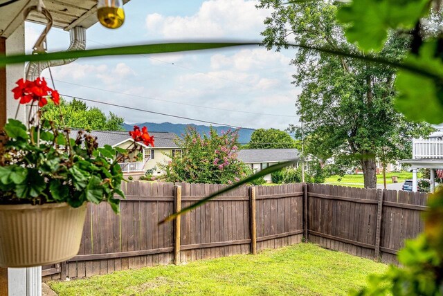 114 2nd St, Shenandoah, VA 22849 - photo 30