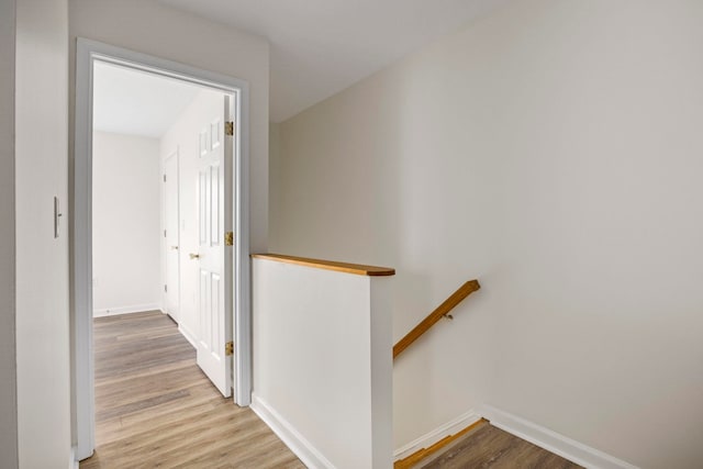 425 Maryland Ave, Shenandoah, VA 22849 - photo 16