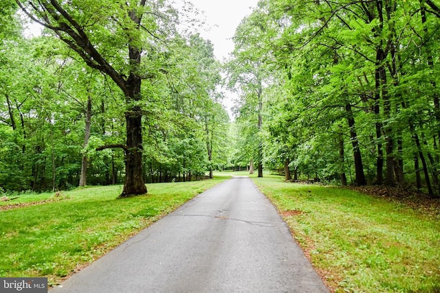 21246 Clarks Mountain Rd, Rapidan, VA 22733 - photo 42