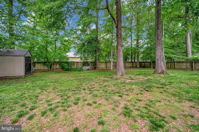 10118 New Scotland Dr, Fredericksburg, VA 22408 - view of yard