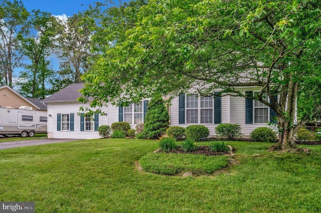 10118 New Scotland Dr, Fredericksburg, VA 22408 - view of property hidden behind natural elements featuring a front lawn and driveway