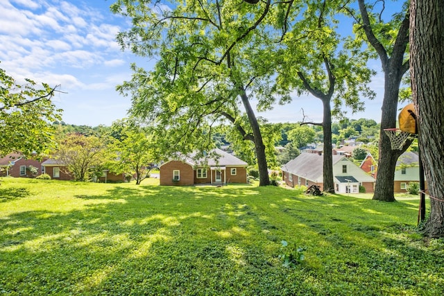 928 Baylor St, Staunton, VA 22401 - view of green lawn