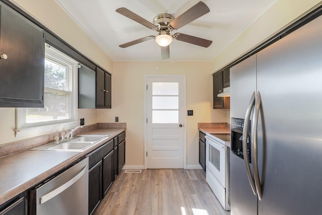 109 Jackson Ave, Elkton, VA 22827 - kitchen with stainless steel appliances, a sink, light wood-style flooring, a ceiling fan, and baseboards