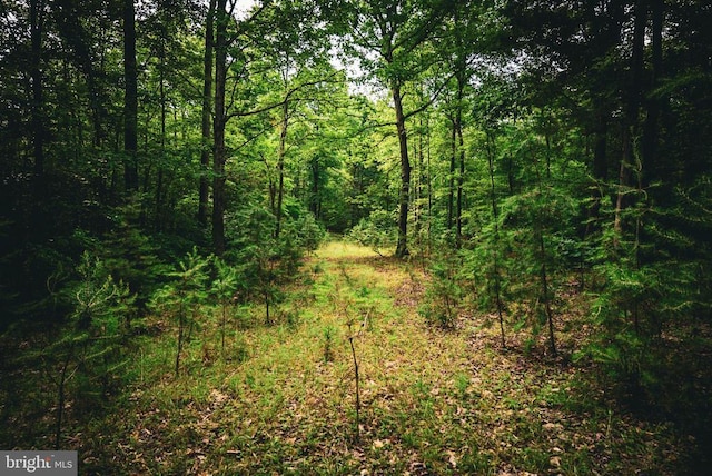 Mallorys Ford Rd, Louisa, VA 23093 - photo 20