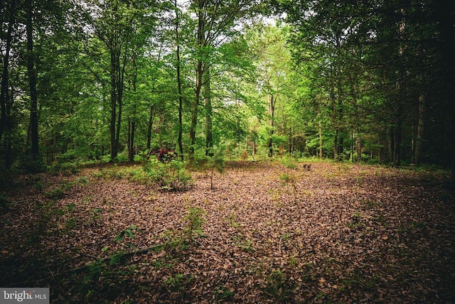 Mallorys Ford Rd, Louisa, VA 23093 - photo 23