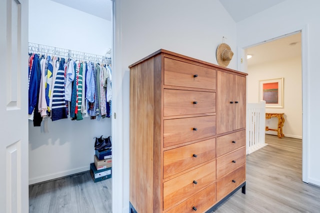 1045 Alexander Hamilton Ln, Harrisonburg, VA 22802 - walk in closet with light wood-style floors