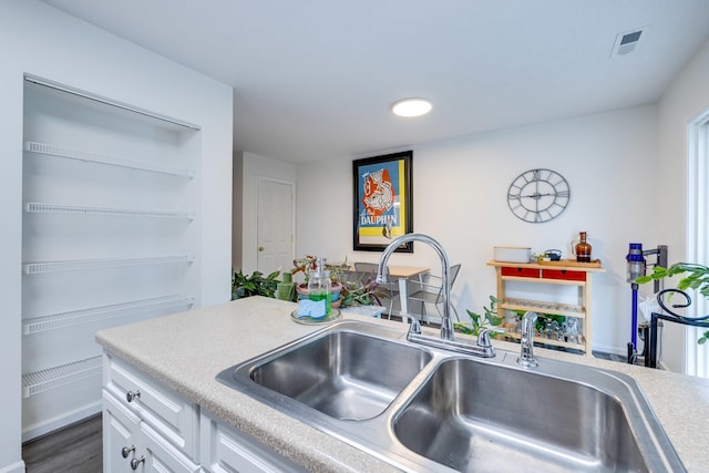 1045 Alexander Hamilton Ln, Harrisonburg, VA 22802 - kitchen with a sink, white cabinetry, light countertops, and dark wood-style flooring