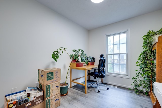 1045 Alexander Hamilton Ln, Harrisonburg, VA 22802 - office space with healthy amount of natural light, wood finished floors, and baseboards