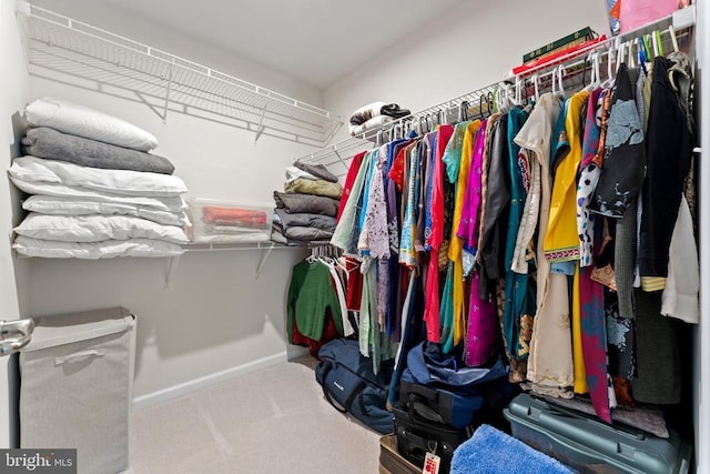 12804 Monterey Ct, Fredericksburg, VA 22407 - walk in closet featuring carpet