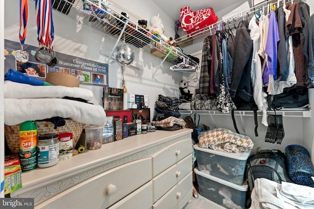 12804 Monterey Ct, Fredericksburg, VA 22407 - view of spacious closet