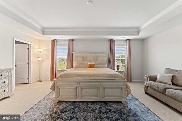 12804 Monterey Ct, Fredericksburg, VA 22407 - bedroom with light carpet, ornamental molding, a tray ceiling, baseboards, and multiple windows