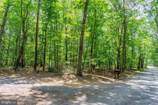0 Big H Ranch Rd, Culpeper, VA 22701 - photo 3