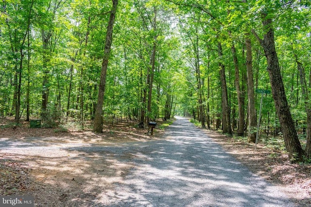 0 Big H Ranch Rd, Culpeper, VA 22701 - photo 5