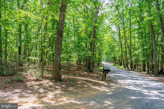 0 Big H Ranch Rd, Culpeper, VA 22701 - photo 4