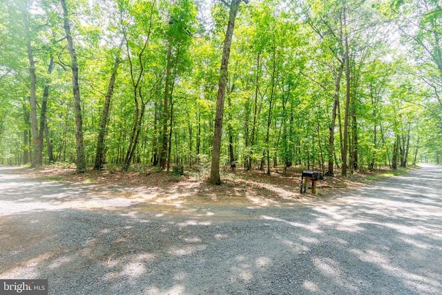 0 Big H Ranch Rd, Culpeper, VA 22701 - photo 10