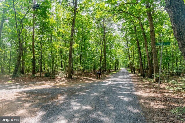 0 Big H Ranch Rd, Culpeper, VA 22701 - photo 8