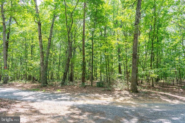 0 Big H Ranch Rd, Culpeper, VA 22701 - photo 6