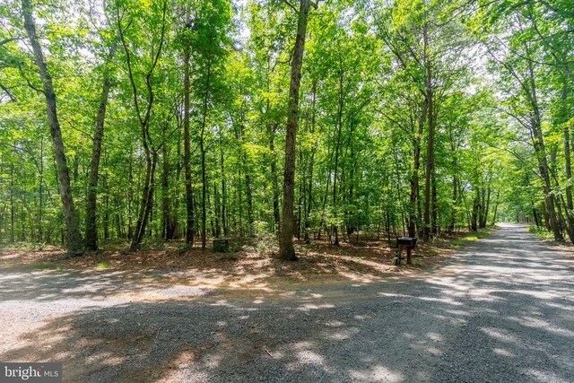 0 Big H Ranch Rd, Culpeper, VA 22701 - photo 7