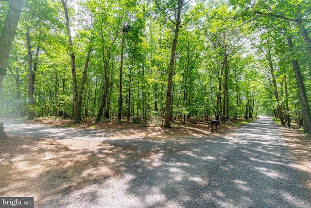 0 Big H Ranch Rd, Culpeper, VA 22701 - photo 9