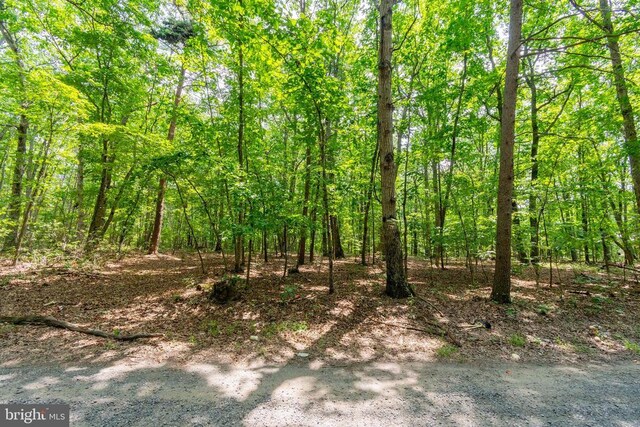 0 Big H Ranch Rd, Culpeper, VA 22701 - photo 11
