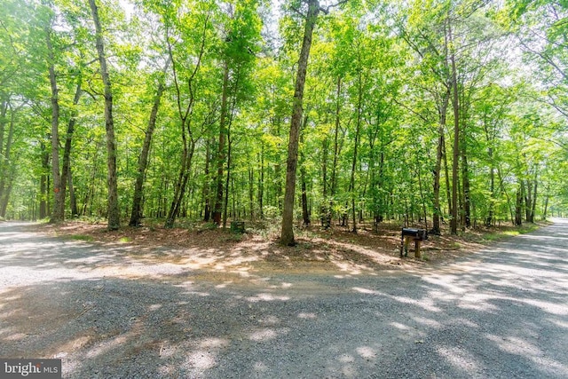 0 Big H Ranch Rd, Culpeper, VA 22701 - photo 1