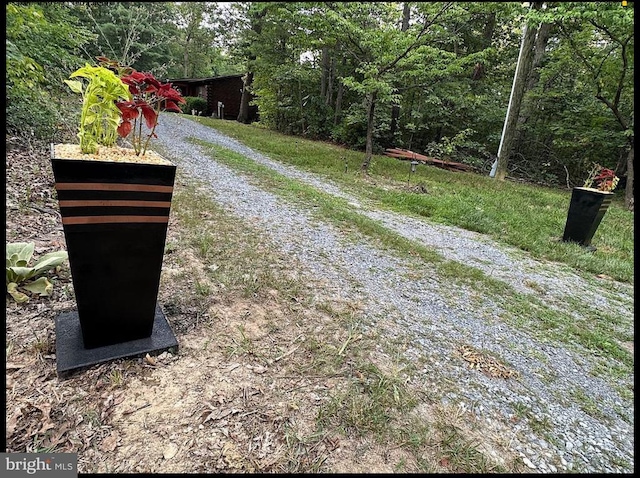 432 Cardinal Dr, Luray, VA 22835 - view of dirt / gravel road