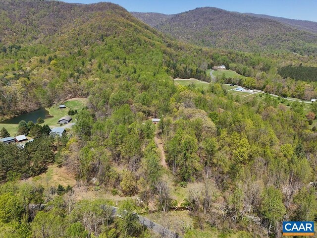 6928 Blackwells Hollow Rd, Crozet, VA 22932 - view of property location featuring a heavily wooded area and a mountain backdrop