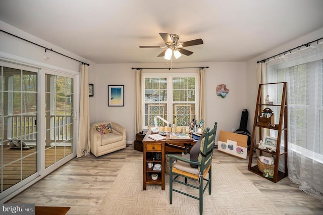 dining room featuring a ceiling fan, an office area, and light wood-type flooring