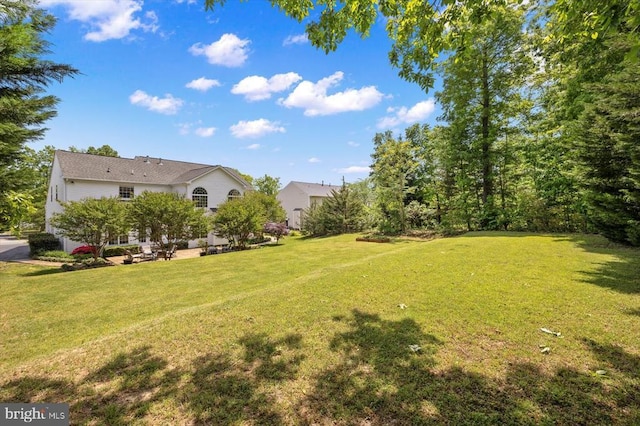 11110 Park Ridge Rd, Fredericksburg, VA 22408 - view of yard