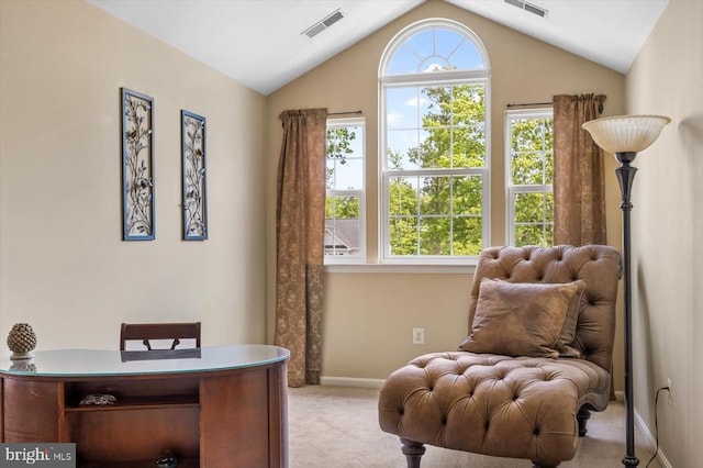 11110 Park Ridge Rd, Fredericksburg, VA 22408 - living area with carpet, baseboards, plenty of natural light, and visible vents