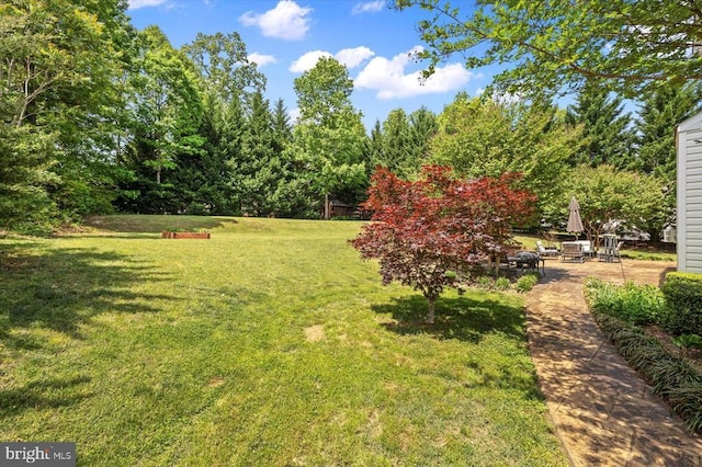 11110 Park Ridge Rd, Fredericksburg, VA 22408 - view of yard featuring a patio area
