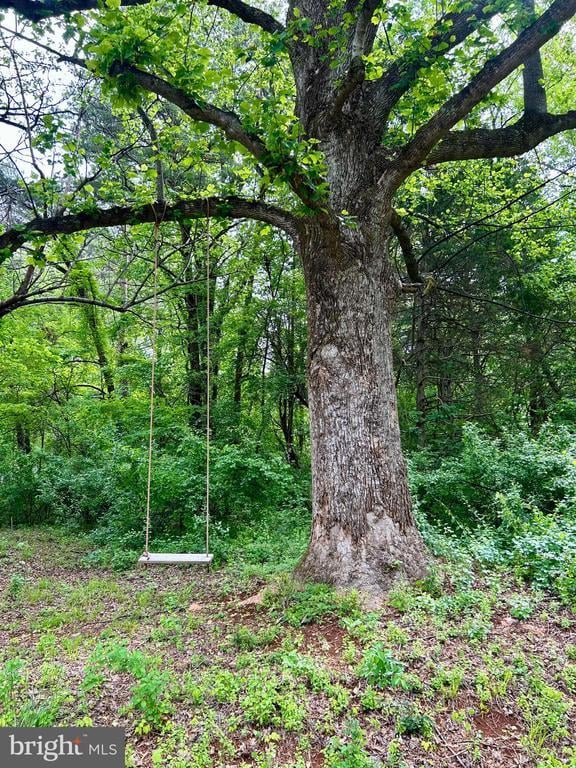 Cameron Rd, Gordonsville, VA 22942