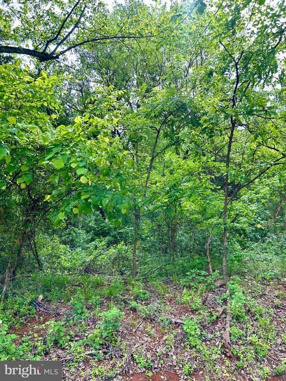 Cameron Rd, Gordonsville, VA 22942