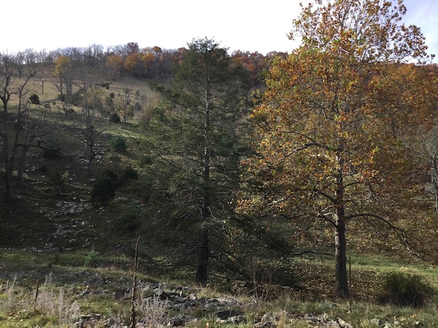 2817 Dry Run Rd, Franklin, WV 26807
