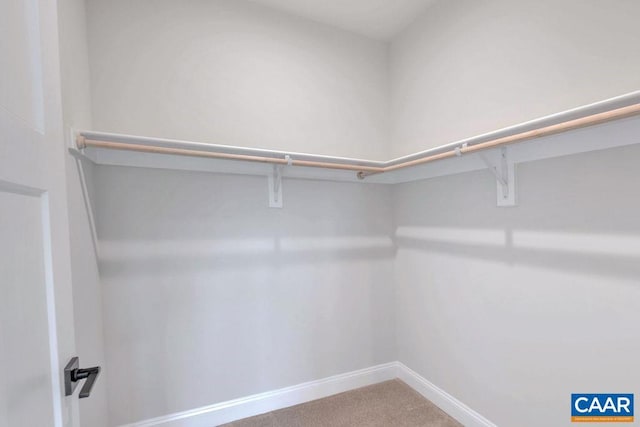 spacious closet with carpet flooring