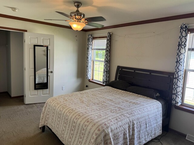 carpeted bedroom with multiple windows, baseboards, a ceiling fan, and crown molding