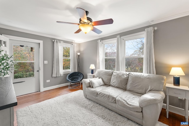 5998 Faber Rd, Faber, VA 22938 - living room with ceiling fan, wood finished floors, baseboards, and ornamental molding