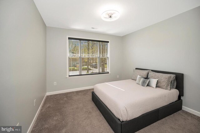 106 Wakefield Dr, Locust Grove, VA 22508 - carpeted bedroom featuring baseboards