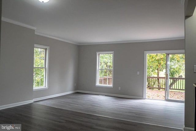 10732 Wakeman Dr, Fredericksburg, VA 22407 - empty room with dark wood finished floors and ornamental molding