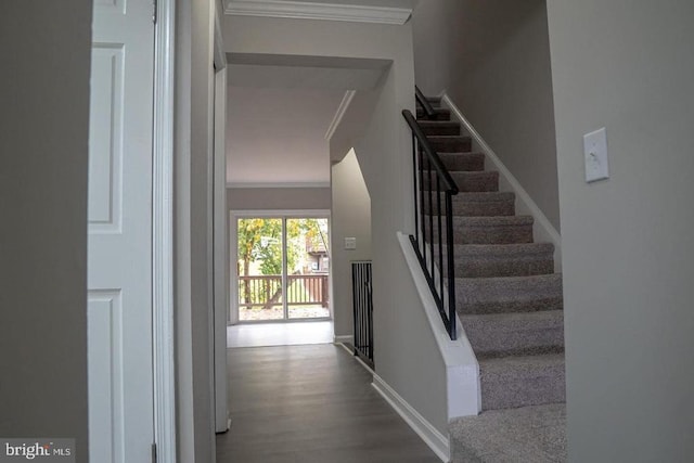 10732 Wakeman Dr, Fredericksburg, VA 22407 - stairway featuring ornamental molding and wood finished floors