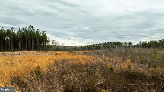 7812 Grand Brooks Rd, Spotsylvania, VA 22551 - photo 20