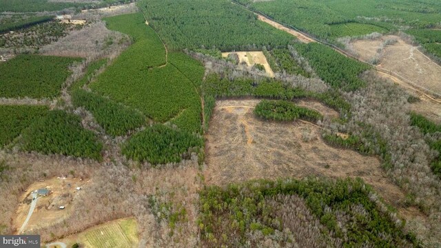 7812 Grand Brooks Rd, Spotsylvania, VA 22551 - photo 10