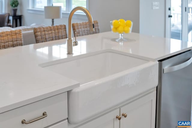 240 Thicket Run Dr, Charlottesville, VA 22911 - details with dishwasher, light countertops, white cabinetry, and a sink