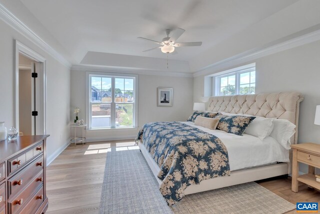 240 Thicket Run Dr, Charlottesville, VA 22911 - bedroom with a ceiling fan, a tray ceiling, baseboards, crown molding, and light wood-type flooring