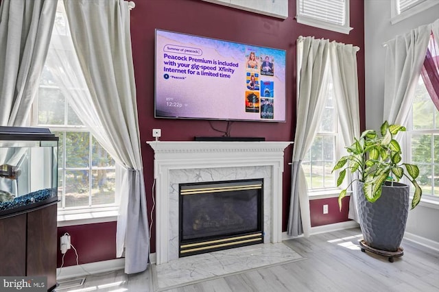 7922 Madison Plantation Way, Fredericksburg, VA 22407 - detailed view of a premium fireplace and wood finished floors