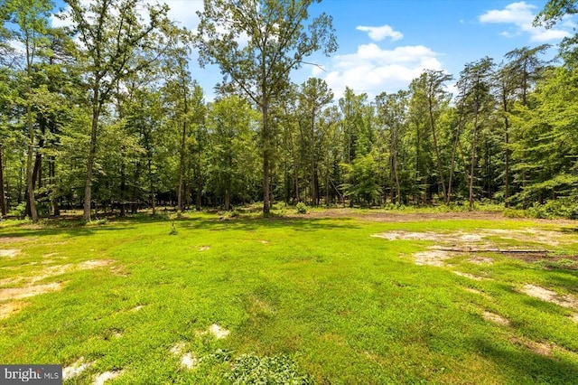 7922 Madison Plantation Way, Fredericksburg, VA 22407 - view of grassy yard with a forest view