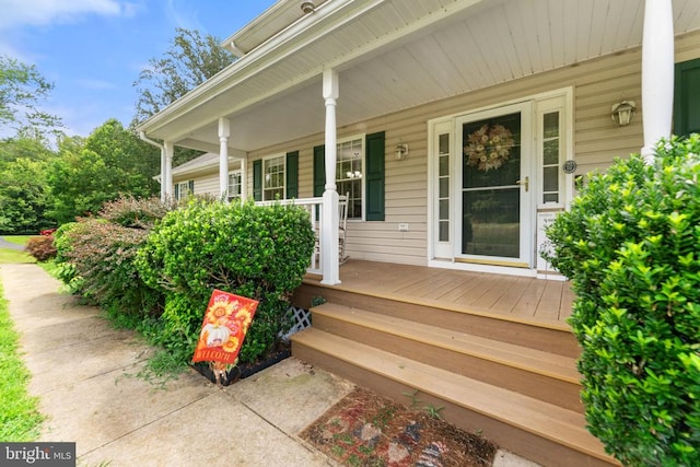 13442 Montavista Ln, Culpeper, VA 22701 - photo 8